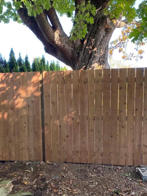 2252 fence3
